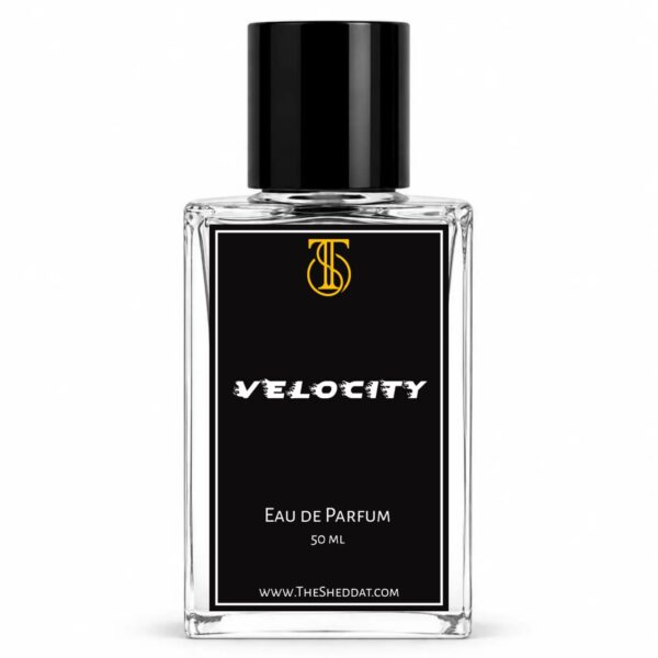 velocity Velocity